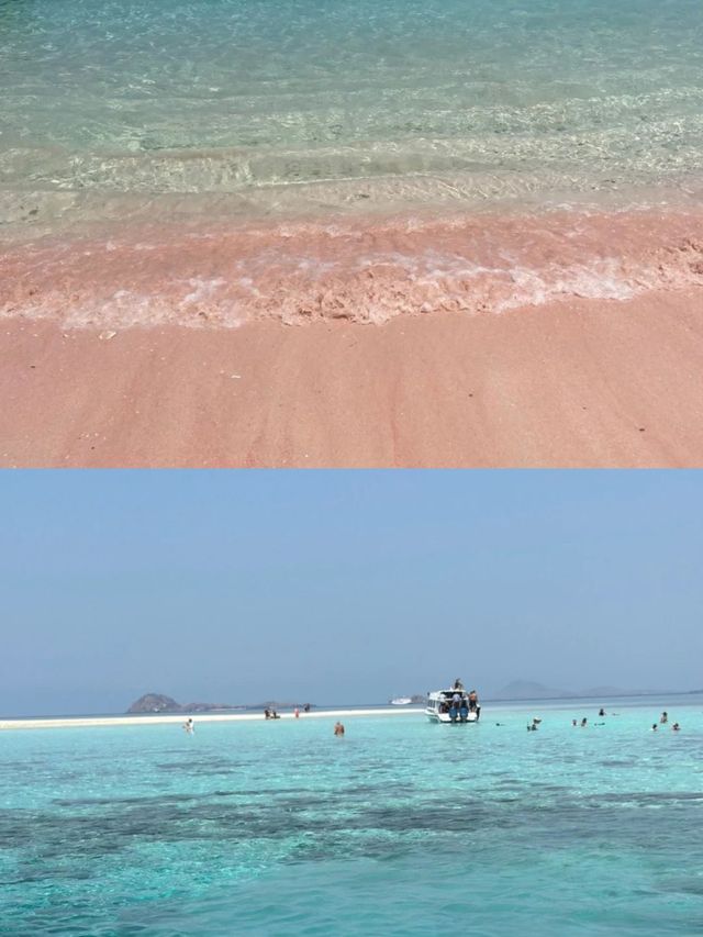 秘境對決：科莫多vs佩尼達