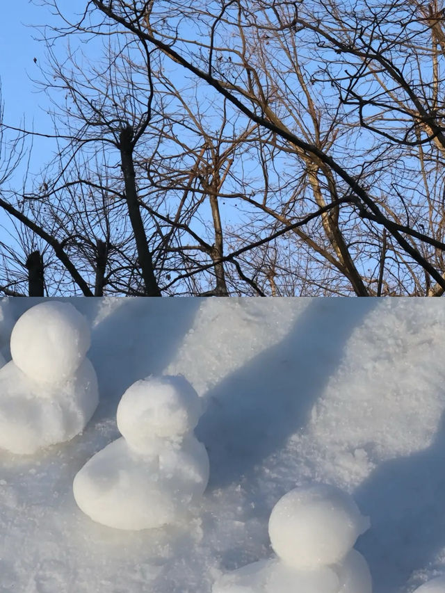 雲深不知處，只緣身在此山中