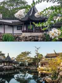 蘇州網師園 | 小眾寶藏園林，邂逅江南詩意