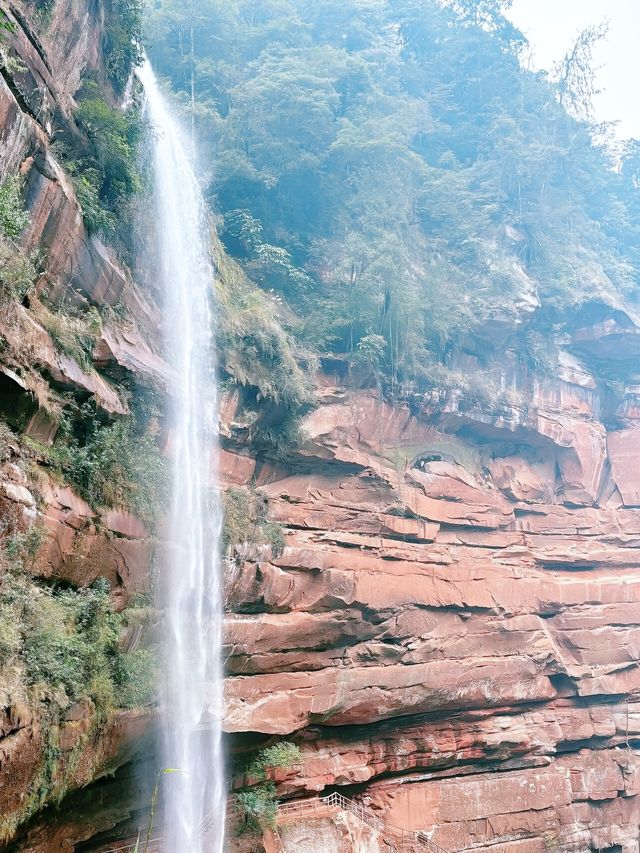 賞花採果之旅，體驗田園樂趣