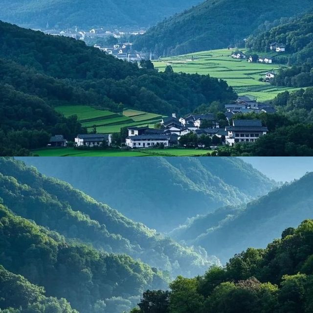4-6月去莫干山的碼住 保姆級攻略！