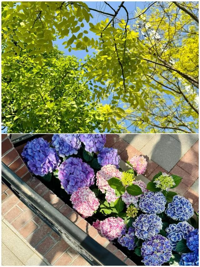天津已回，真心建議5.1淡季去