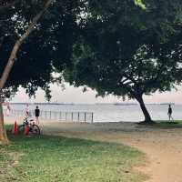 新加坡旅行避雷指南！這些秘境連本地人都在私藏🌴 
