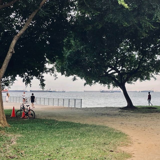 新加坡旅行避雷指南！這些秘境連本地人都在私藏🌴 