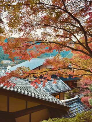 게로 여행은 정말 잊을 수 없는 경험이었어요.
