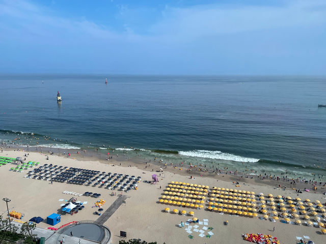 釜山海邊度假酒店Grand Josun Busan 酒店：Grand Josun Busan 