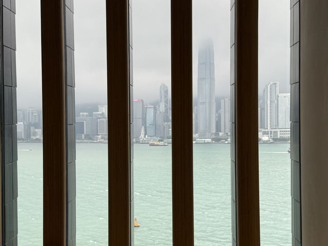M+ Kowloon, Hong Kong’s Latest Cultural Icon. Modern Art At its Best 🖼️ 