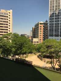 韓風魅力，在首爾威斯汀朝鮮酒店