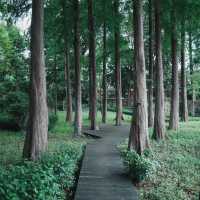 廣州小眾公園！樹木公園 這就是i人最愛的靜謐感吧