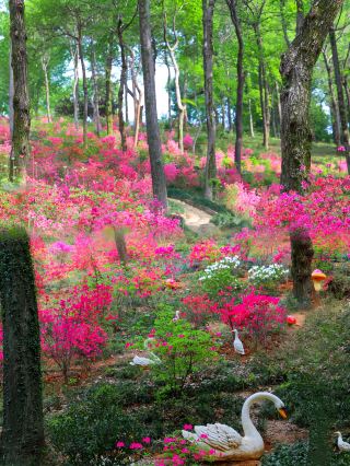 The hidden gem of southern Anhui: A romantic hot spring trip to Yongquan Town!