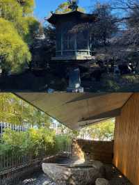 東京最美的美術館『根津美術館』
