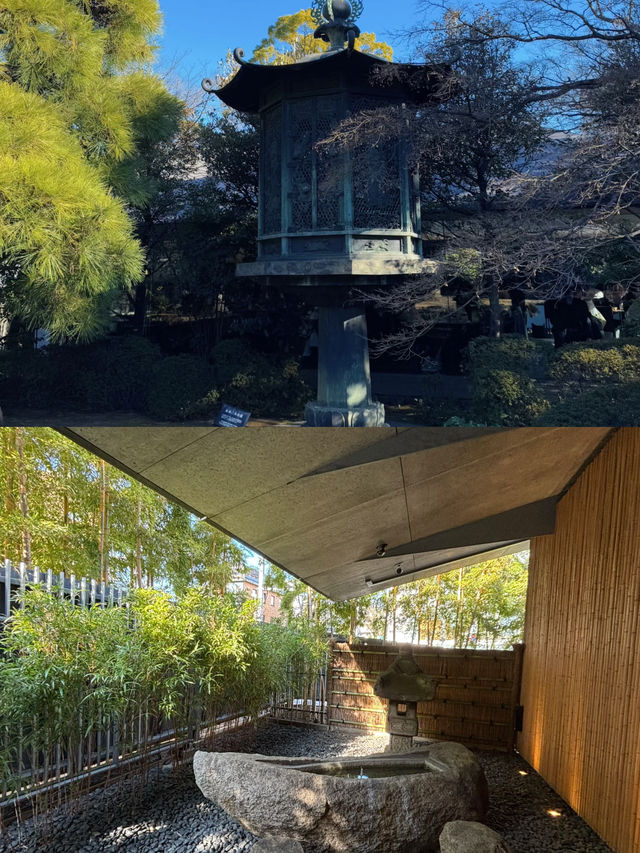 東京最美的美術館『根津美術館』