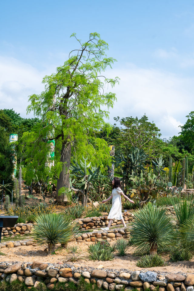 東莞如果只去一個地方，那一定是植物園！