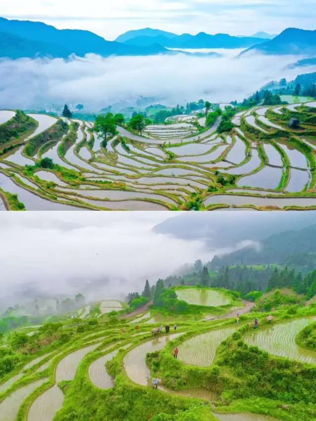 反向出遊！五月的婺源，美得剛剛好！
