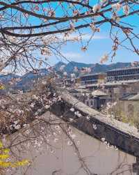 夏天一定要嚟古北水鎮啊!!!