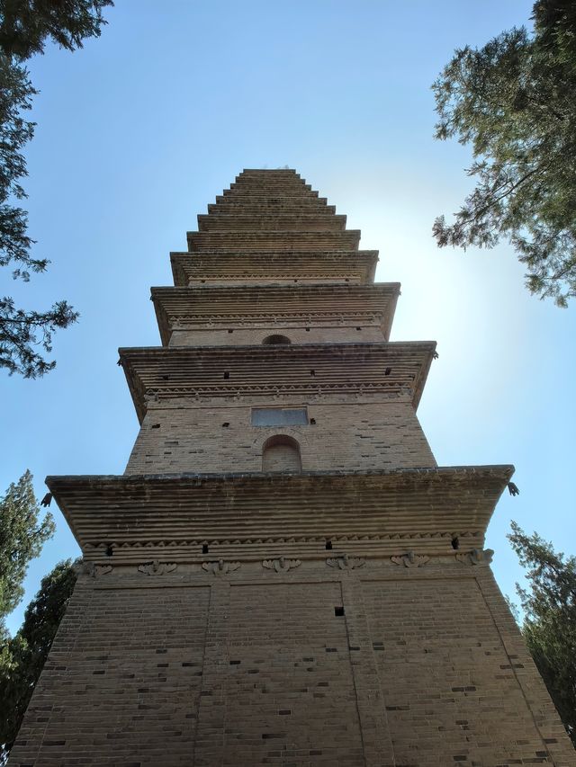 全國重點文物保護單位一一普救寺塔