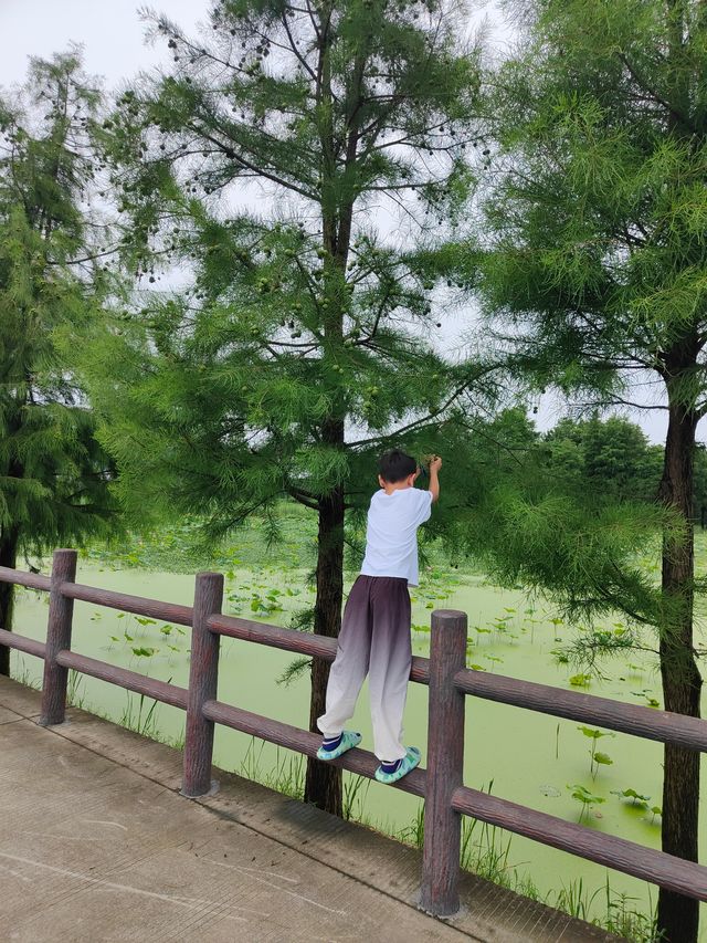 【跟住國家地理去旅行系列之—漕雅線】