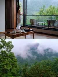 躲進山野秘境｜都市逃兵的隱居實錄