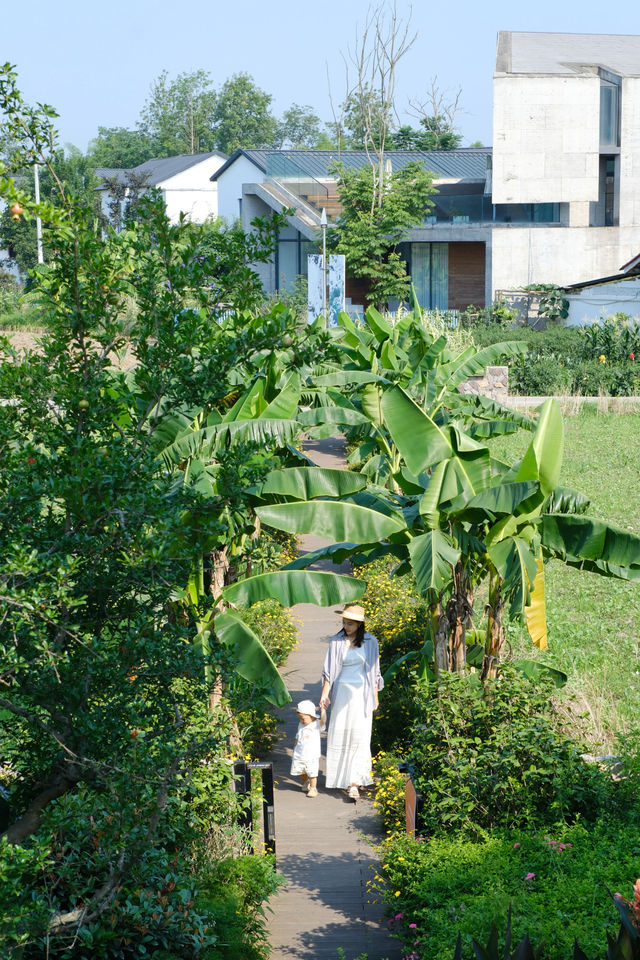 成都周邊親子遊 住進「小峇里島」嘅治癒周末