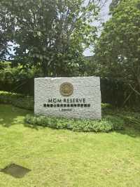 在空中游進藍色畫布的中心