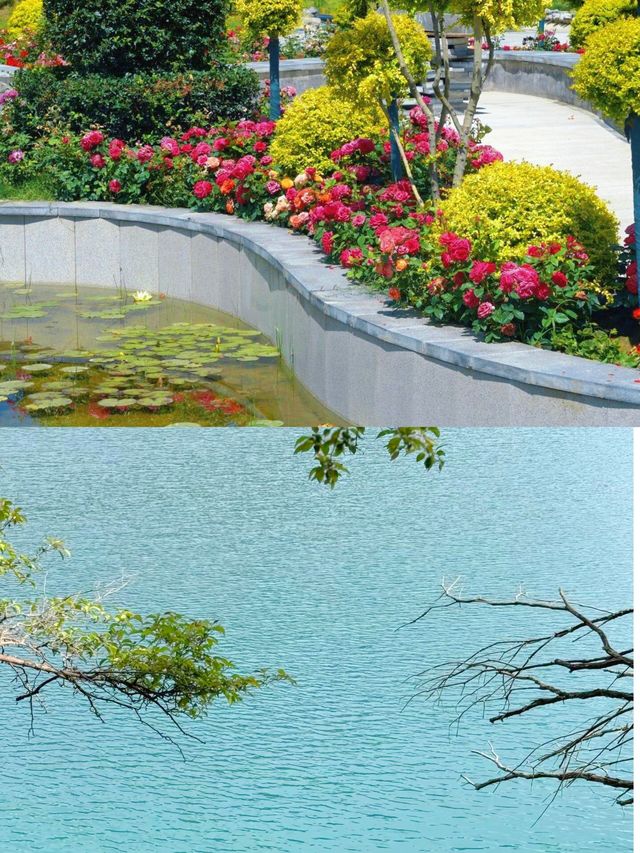 《煙雨隴南，溶洞深處水滴成詩》