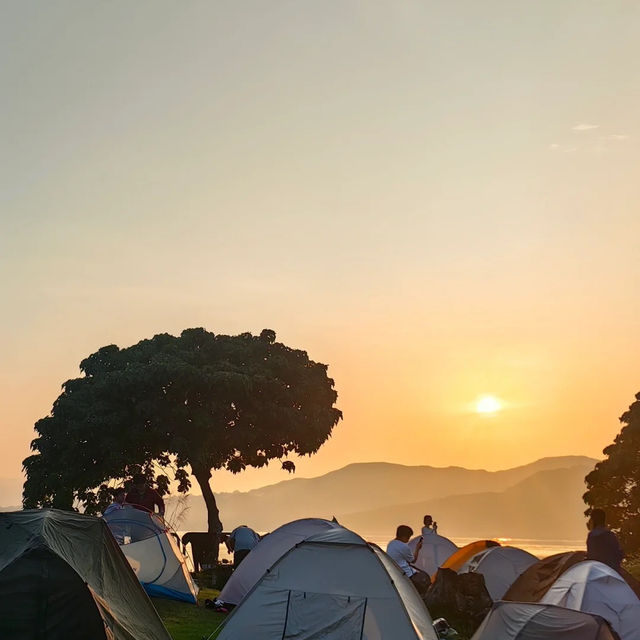 🏝️【人均$100玩爆香港玻璃海！福田出發超詳細攻略】