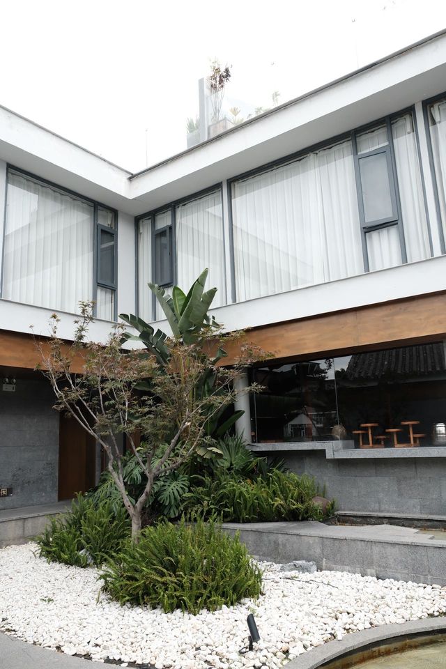 總要去一次洱海