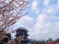 花溪十里河灘