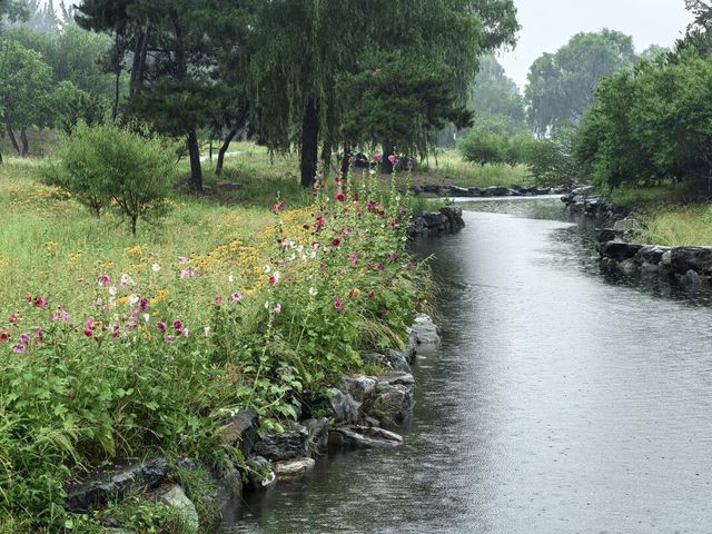 煙雨圓明園：江南韻與歷史愁