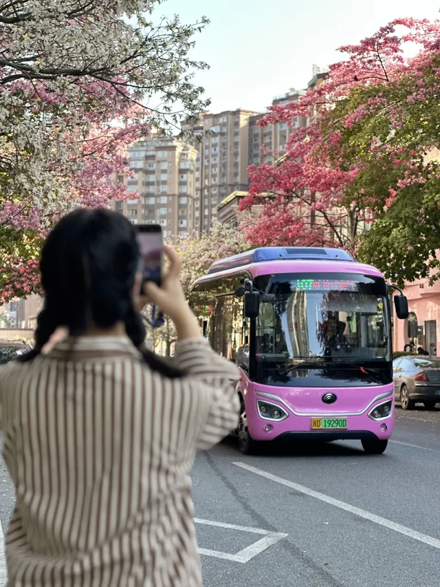 攀枝花22°C嘅暖冬係成都人嘅最愛吧？