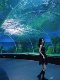 泉州歐樂堡旅遊超浪漫，情侶出遊，我都要做個公主