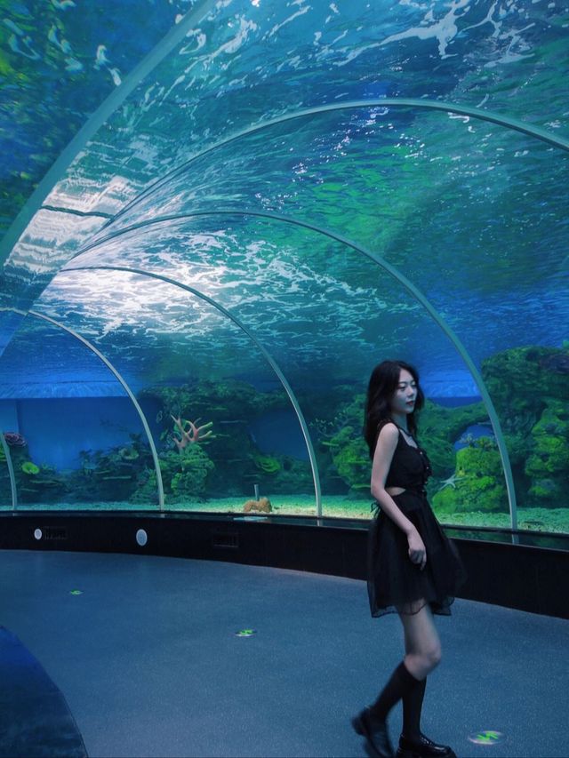 泉州歐樂堡旅遊超浪漫，情侶出遊，我都要做個公主
