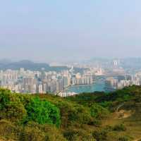 元荃古道石龍拱行山攻略 | 飽覽山海美景🌄