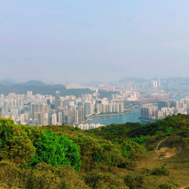 元荃古道石龍拱行山攻略 | 飽覽山海美景🌄