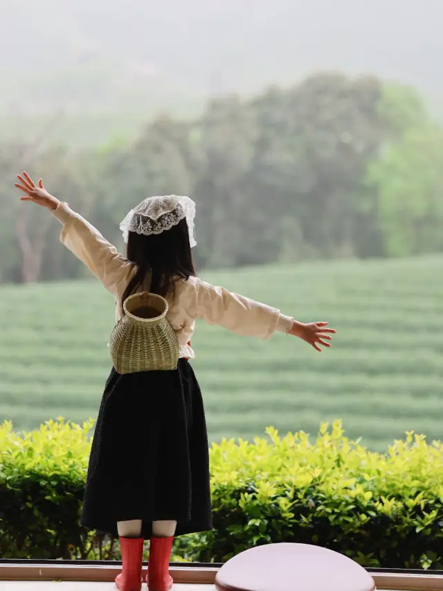 安吉JW萬豪 | 帶小朋友採茶，住進江南的詩意春天