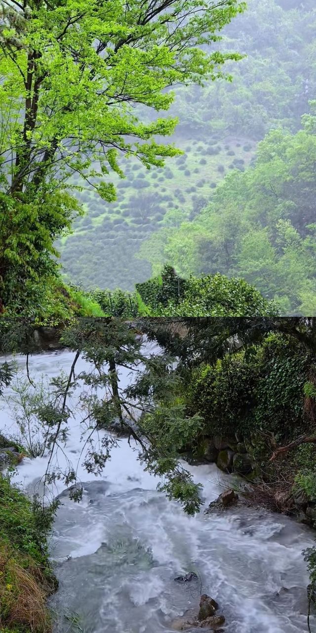 東白山徒步露營攻略，錯過後悔一整年！