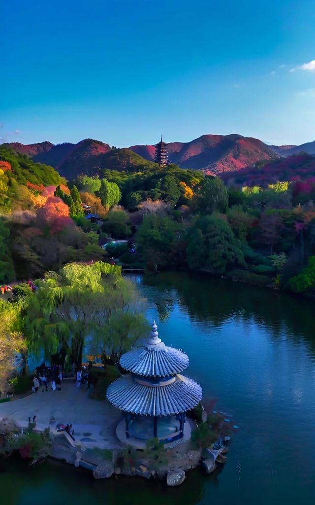 逃離高溫！躲進23℃紅葉谷，賞花玩水餵孔雀