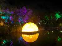天目湖夜公園開業啦