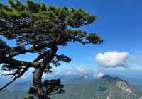 黃山蓮花峰暑假開放嗎？有哪些免費人群？
