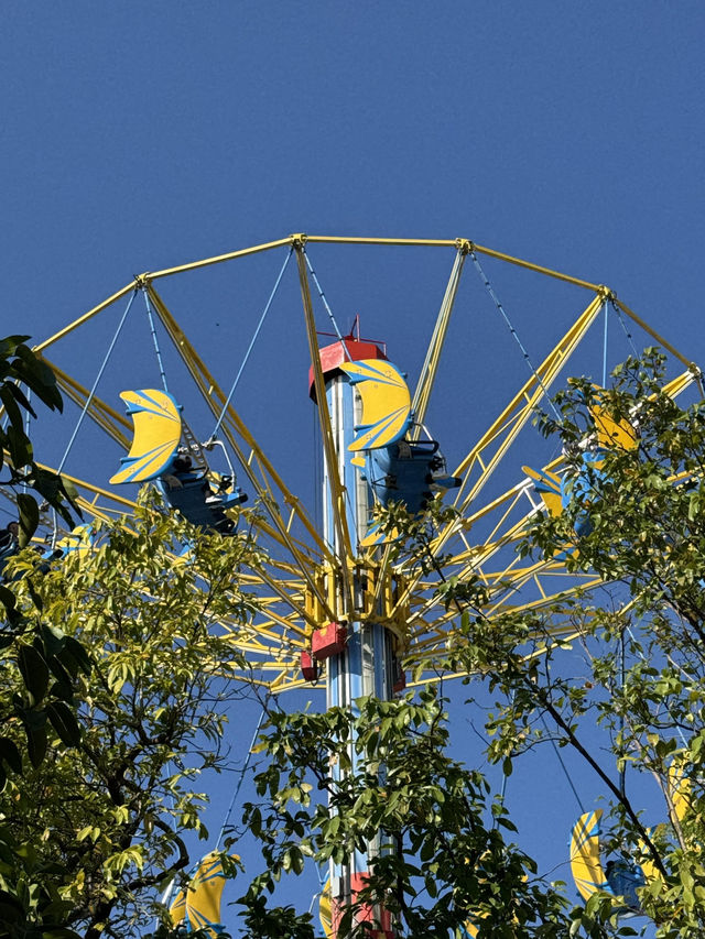 帶娃玩香港海洋公園不累攻略來了！記得收藏這篇，輕鬆玩轉一整天～ 