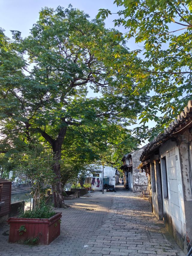 正儀老街嘅晨光，係裹住水氣嚟嘅。