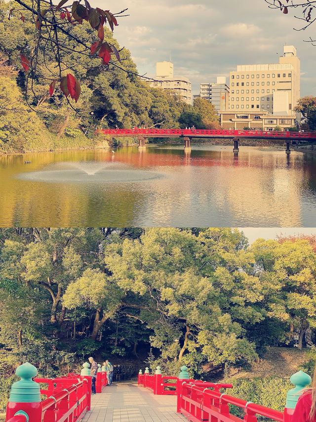 **【大阪隱世綠洲！天王寺公園療癒體驗全紀錄】**  