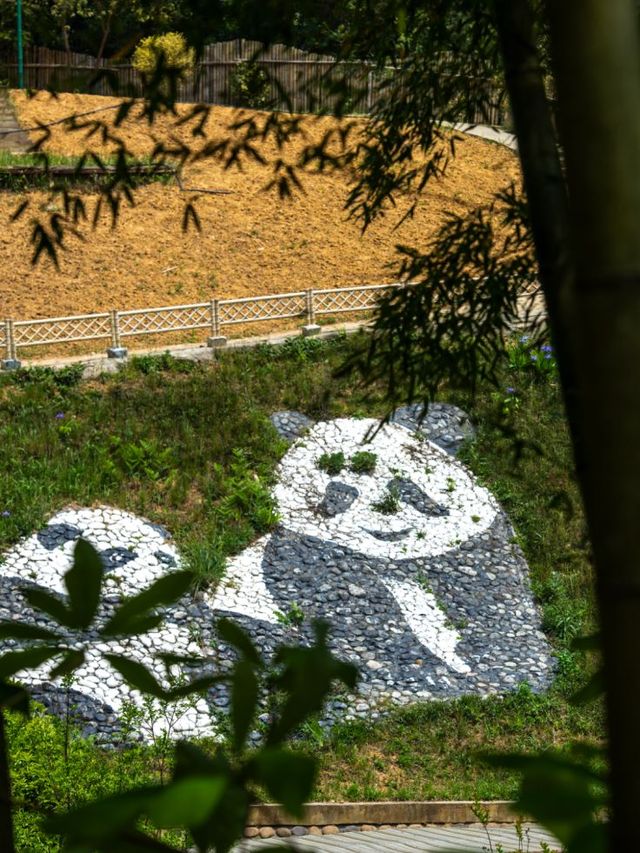 尋道訪古•漫步陽平觀
