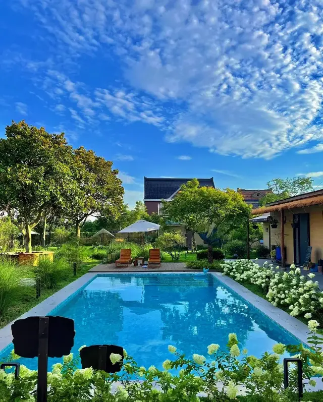 上海崇明！好似跌入南法嘅夏日！靚到喊