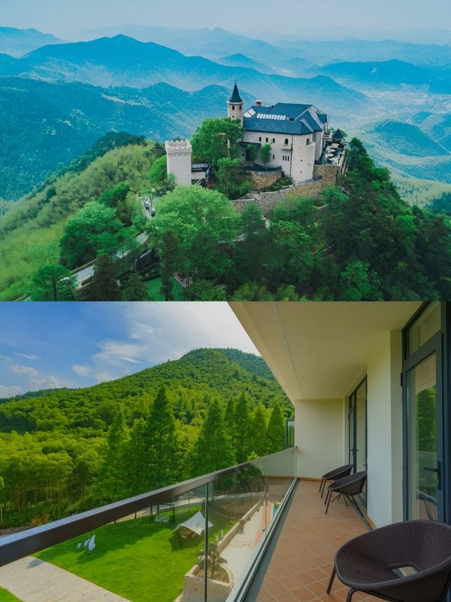 莫干山竹林野奢記