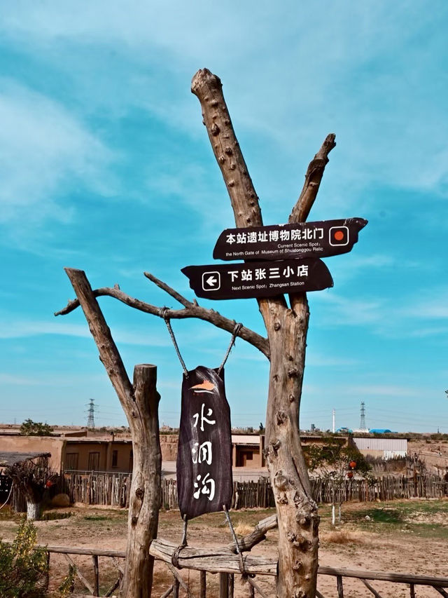 黃沙深處，尋一枚文明的火種
