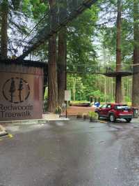Redwoods Treewalk遊覽攻略：樹冠間的奇幻之旅