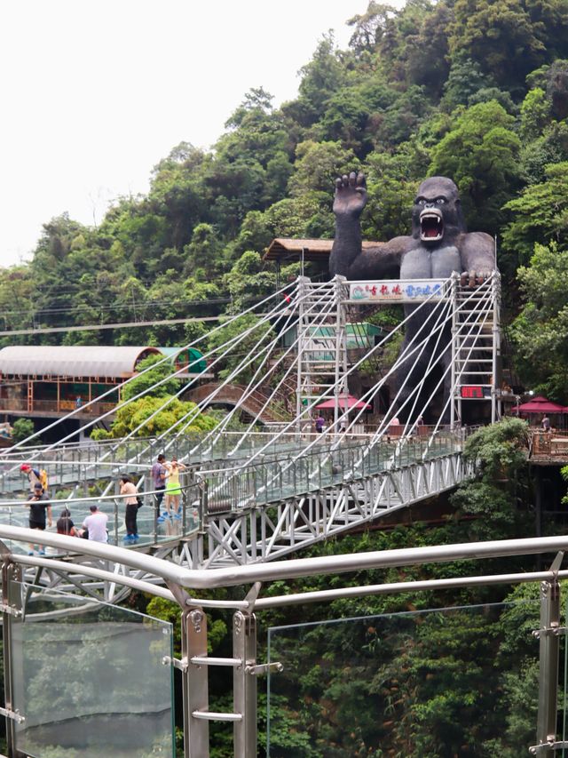 清遠古龍峽 | 一場刺激與浪漫嘅邂逅