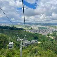 【中国 雲南省】🌿 プーアール 茶馬古道景区