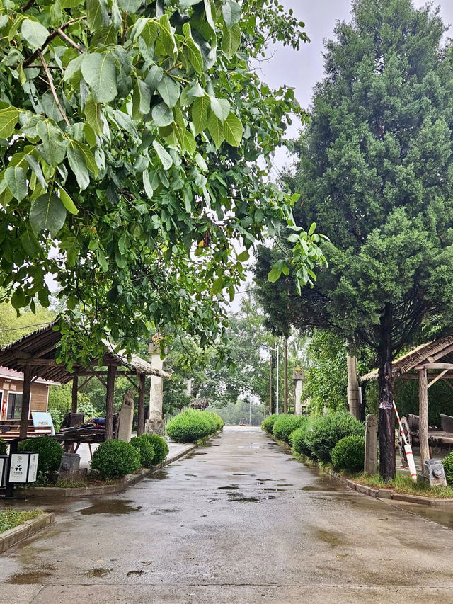 蒼山疊翠，野趣無窮 —— 野河山景區
